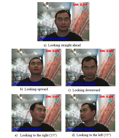 A collage of a person with green eyes

AI-generated content may be incorrect.
